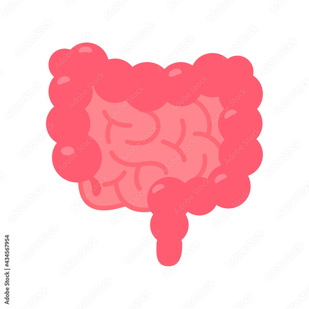 Intestine icon. Intestines help in the excretion of body waste into