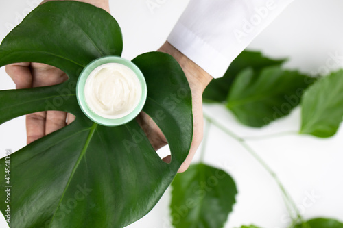 Close-up hands hold cosmetic jar with cream on fresh green leaf on white herbal background. Copy space. Dermatology, healthcare, treatment, microbiome skincare, plant-based probiotic products concept