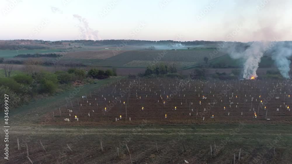 Illustration de bougies anti gel dans une vignoble. Lutte contre le froid dans un domaine viticole. Prise de vue aérienne de bougie anti gel dans les vignes