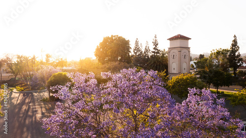 Sunset aerial view of the public clock tower of downtown La Habra, California, USA. photo