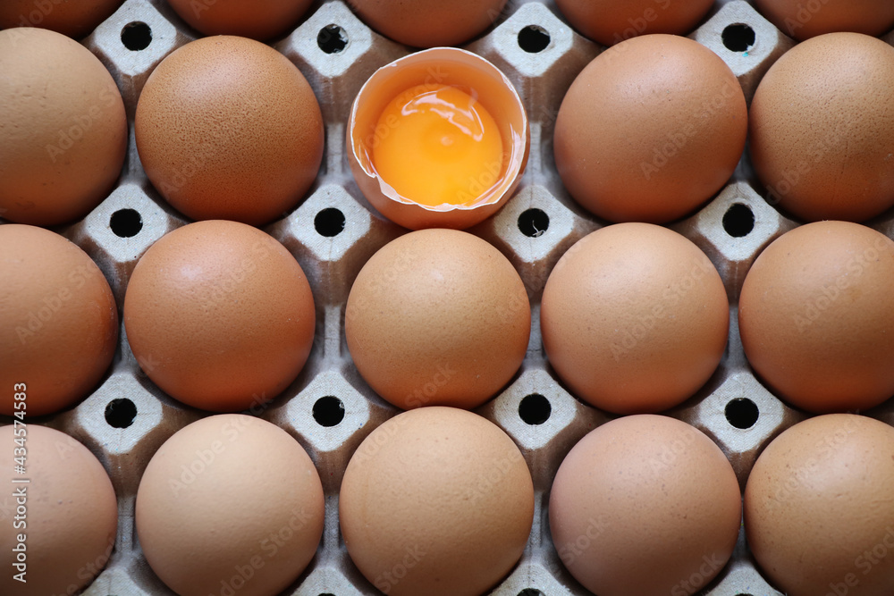 Fresh egg yolk uncooked is broken on the egg tray Fresh egg yolk uncooked is broken on the egg tray