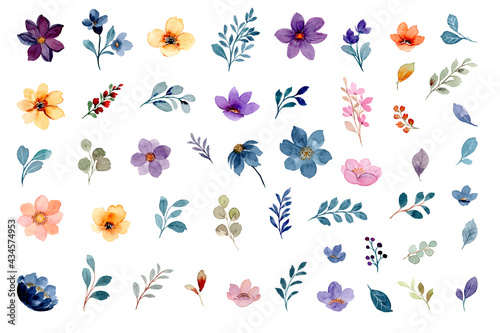 Watercolor flower and leaves element collection