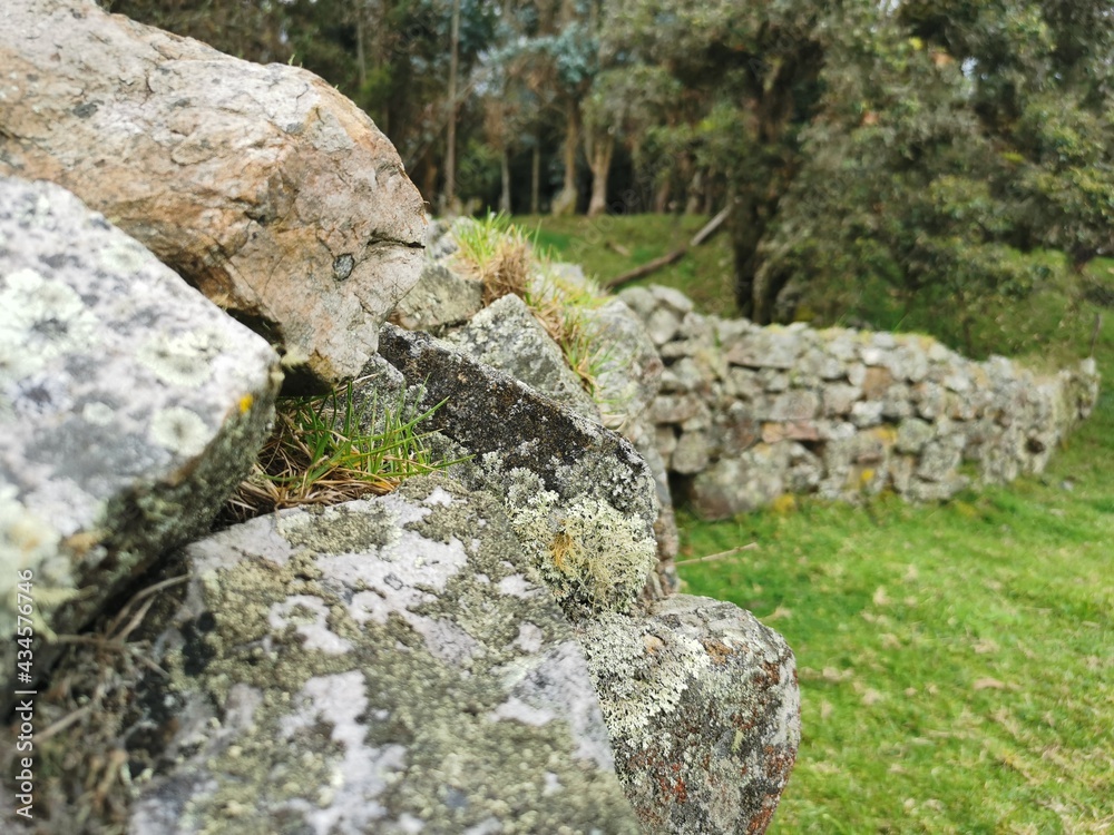piedras con musgo natural paisaje de campo piedras con musgo natural paisaje de campo