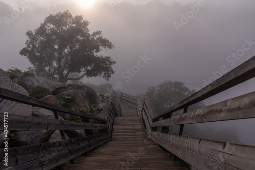 Sunrise with fog on the Passadiços do Paiva in the district of Aveiro, Portugal photo