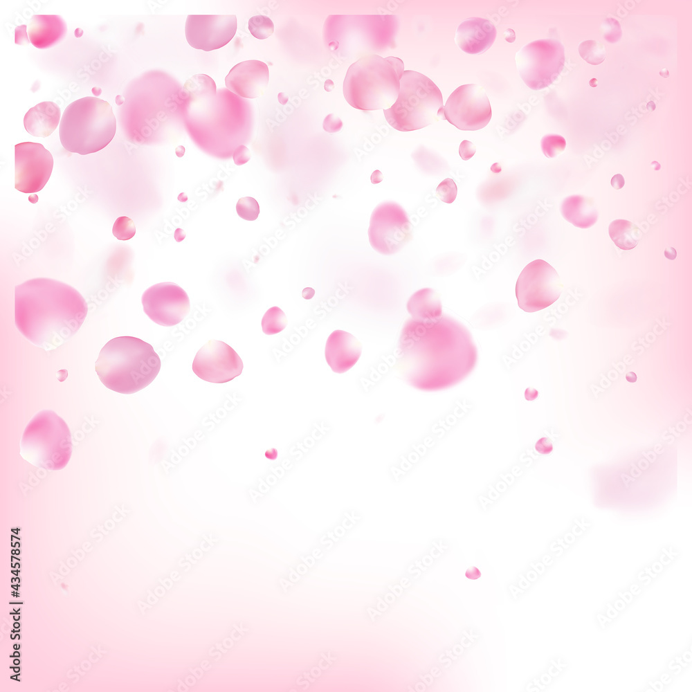 Rose Petals Flying Confetti. Windy Leaves Confetti Design. Blooming