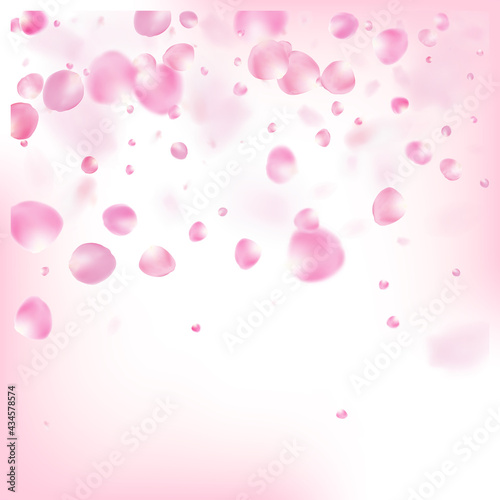 Rose Petals Flying Confetti. Windy Leaves Confetti Design. Blooming