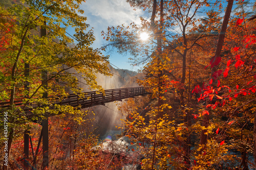 Tallulah Falls, Georgia, USA overlooking Tallulah Gorge