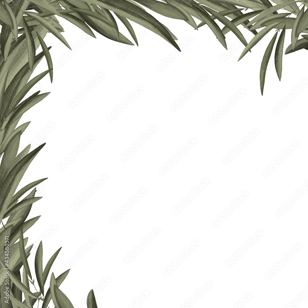 Fototapeta premium Frame with green leaves. Botanical border on white background. Hand drawn illustration