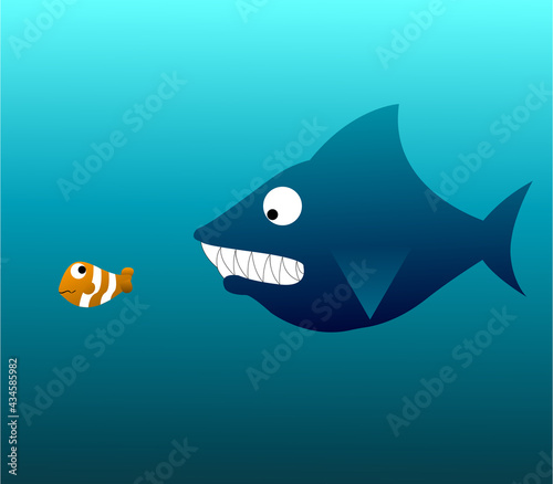 Shark hunting  a fish