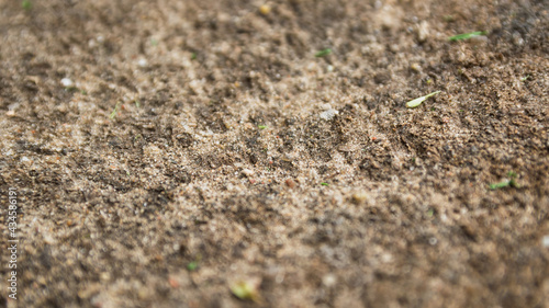 Macro shot of dirt and sand mix