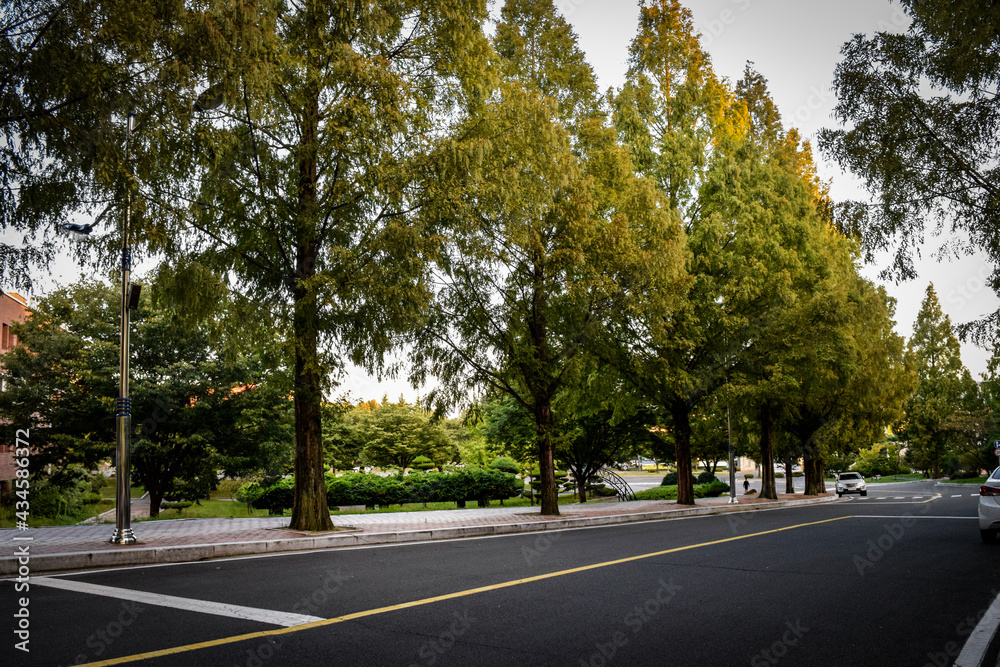Fototapeta premium 韓国、大邱大学校内とその周辺の情景