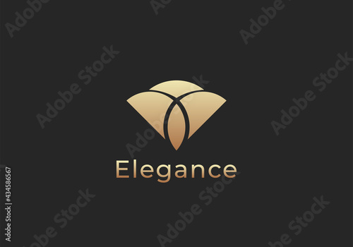 diamond luxury logo icon vector
