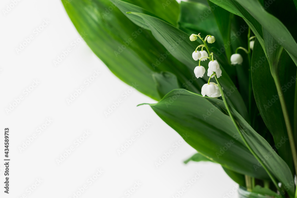 Obraz premium Green blooming lilies of the valley may in a vase on a white background with a place for text or inscription