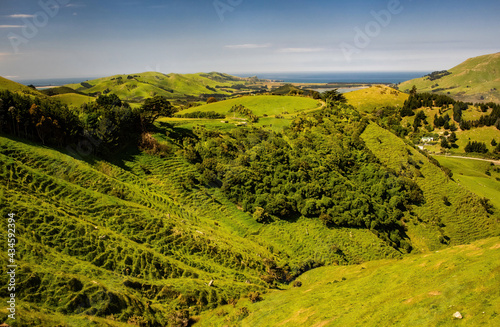 Scenic View of Dunedin, New Zealand