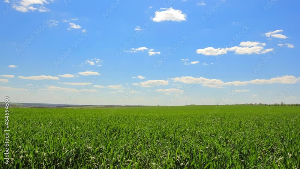 green rural field under a cloudy sky, spring countryside industrial time lapse scene green rural field under a cloudy sky, spring countryside industrial time lapse scene