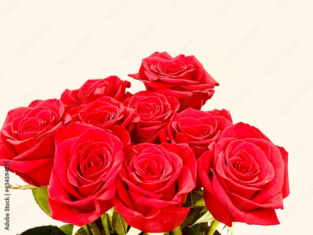 Bouquet of red roses on a white background. Close-up. Copy space. Bouquet of red roses on a white background. Close-up. Copy space.