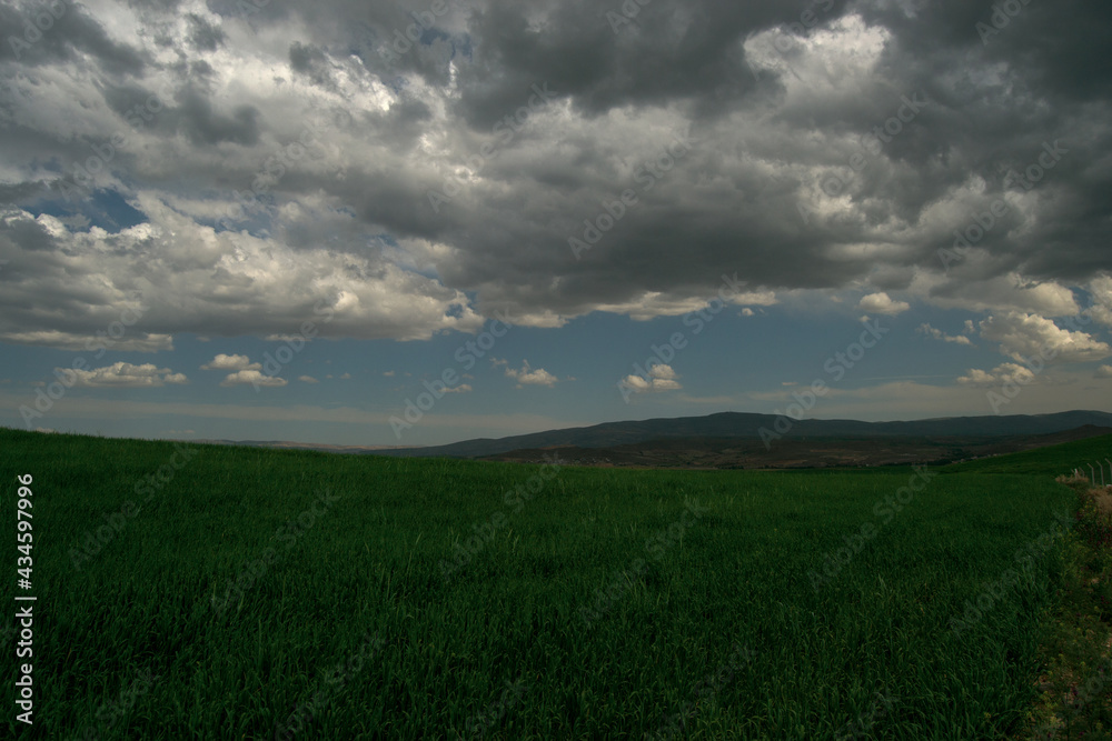 clouds in the sky