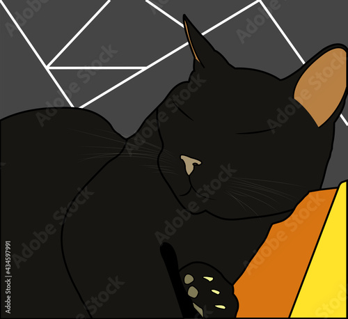 Gato Negro