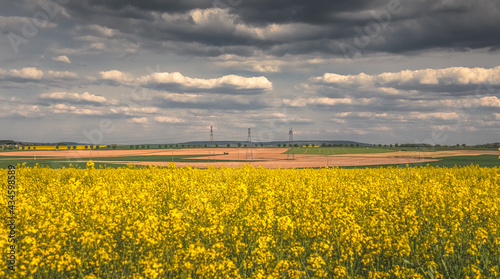 Champ de colza et pylone electrique