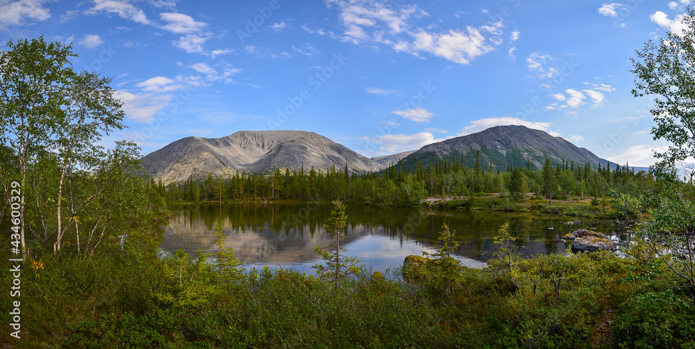 Panorama of a mountain lake surrounded by a spruce forest against the background of a mountain range and a blue sky with white clouds