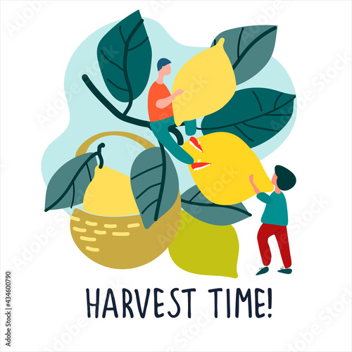 People picking lemons. Harvest Time quote. Harvesting concept. Agritourism, pick-your-own concept. Fresh fruit concept. Hand drawn vector illustration in abstract flat style