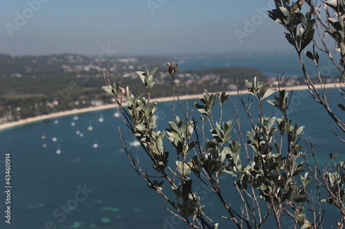 Bouddi National Park Australia