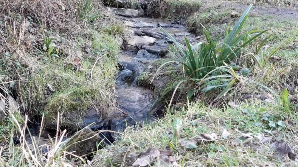 Water flowing down a tiny stream emerging from a spring in the woods, between rocks and grass Water flowing down a tiny stream emerging from a spring in the woods, between rocks and grass