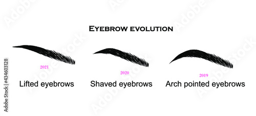 Eyebrow evolution in vector. Hand drawn vector detailed illustration.