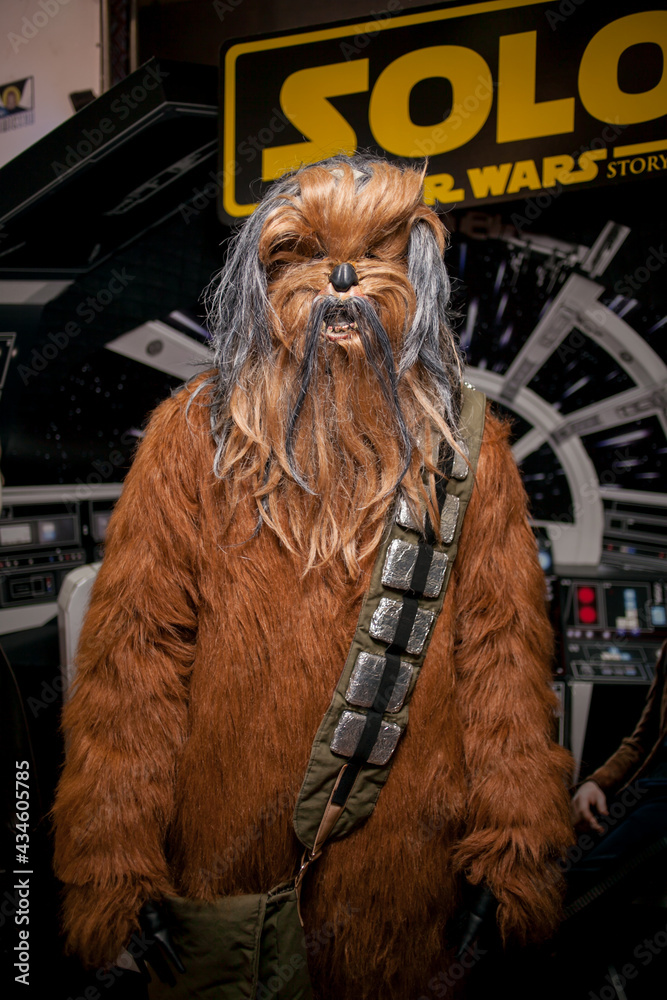 Obraz premium Kiev, Ukraine - May 20, 2018: Comic Con, an annual festival of geek culture in Kiev, Ukraine. Cosplayers in costumes. People in costumes of characters in the Marvel, DC Universe, computer games