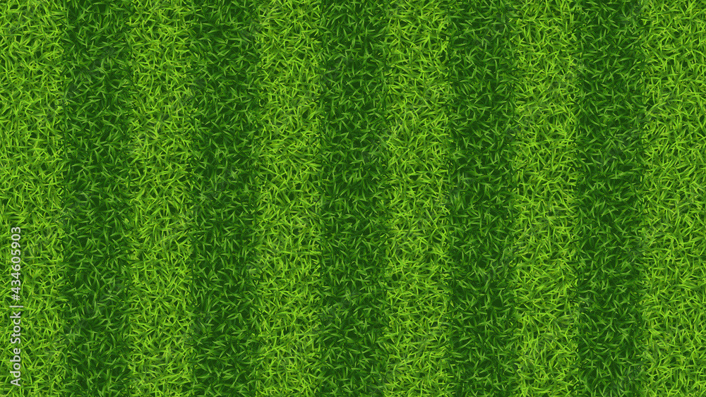Striped soccer football grass field vector texture. Green grass pattern for sport background