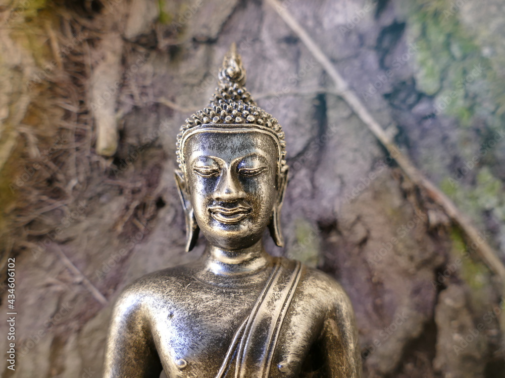 silver buddha in front of tree