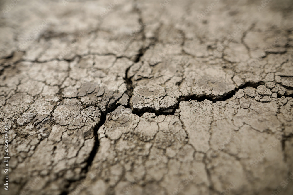 Fototapeta premium Shallow depth of field (selective focus) details with scorched earth under the strong sun of a summer day - drought.