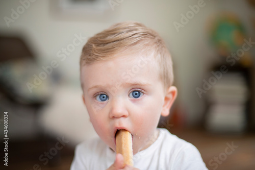 portrait  caucasian baby boy with a biscuit in his mouth