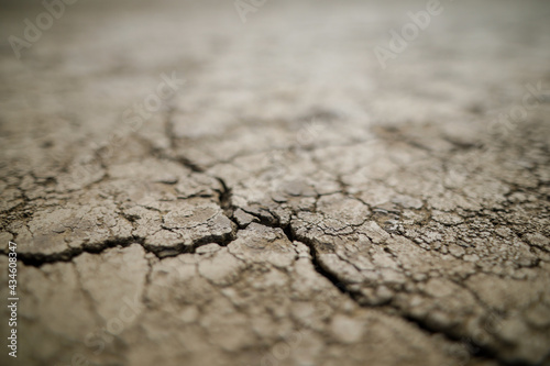 Shallow depth of field (selective focus) details with scorched earth under the strong sun of a summer day - drought.