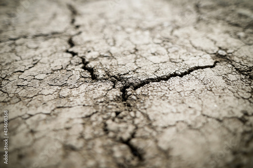 Shallow depth of field (selective focus) details with scorched earth under the strong sun of a summer day - drought.