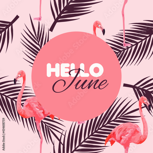Tropical pink background with palm leaves and flamingo. Hello june banner. Summer vibe. Vector illustration.	