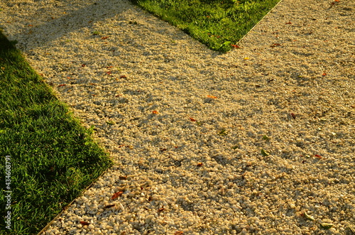 Sunshine on the stones