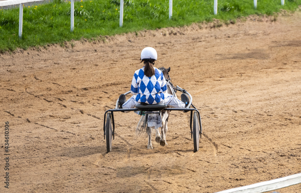 children's pony runs at the racetrack on a sunny day children's pony runs at the racetrack on a sunny day
