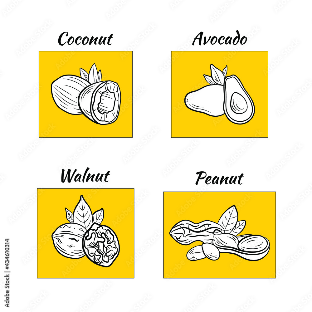 Vector set of nut icons, bright yellow design elements, oils, outline illustration template.
