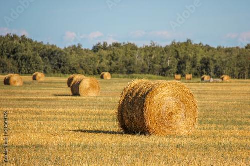 hay bales at dusk in Winnipeg Manitoba Canada