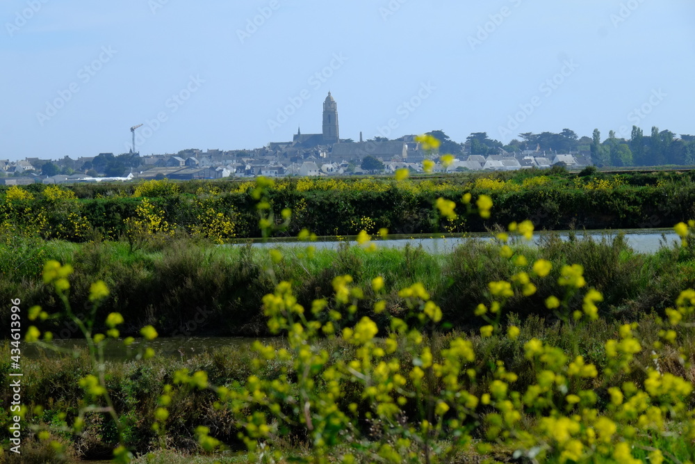The landscape of the salt marshes of Guérande. France, the 8th may 2021.