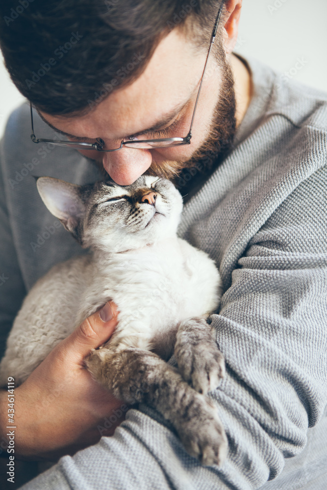 Sharing affection with cat. Handsome beard man holding and kissing Devon Rex cat. Spending time with pet, boosting mood, lowering stress levels. Breed with hypoallergenic fur, no low shedding.