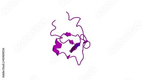 360º 3D rendering of a biological molecule. Solution structure of UPF0434 protein NMA0874. photo