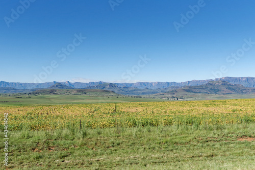 Südafrika - Provinz KwaZulu-Natal - Drakensberge photo