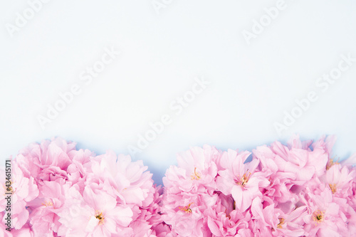 Spring nature background with lovely blossom