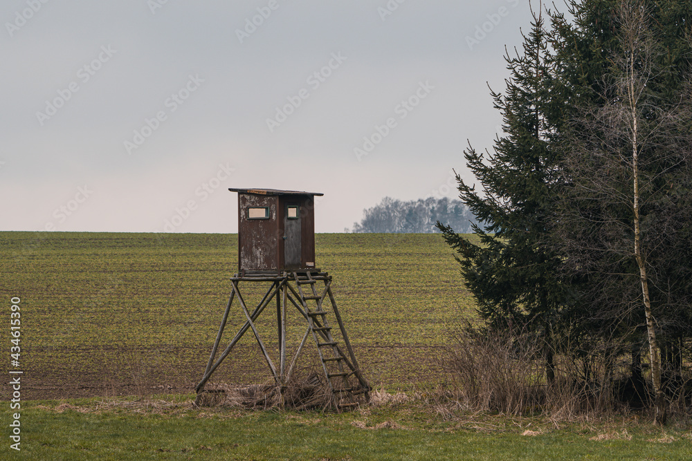 Naklejka premium Wooden lookout tower for hunting in the woods and on meadow