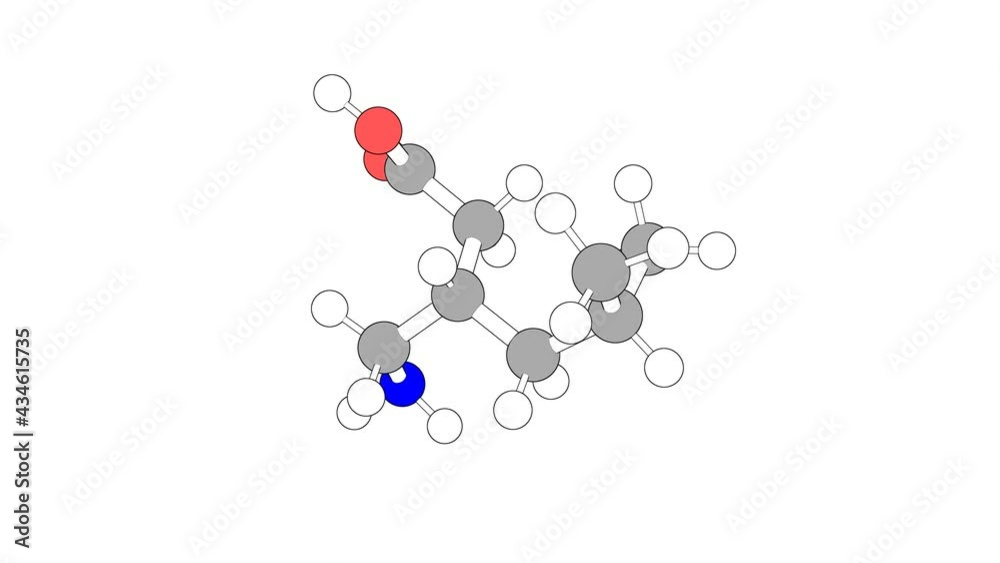 360º realistic 3D view of Pregabalin as a seamless loop over a white opaque background with alpha mask. Also called lyrica and 3-isobutyl gaba. 360º realistic 3D view of Pregabalin as a seamless loop over a white opaque background with alpha mask. Also called lyrica and 3-isobutyl gaba.