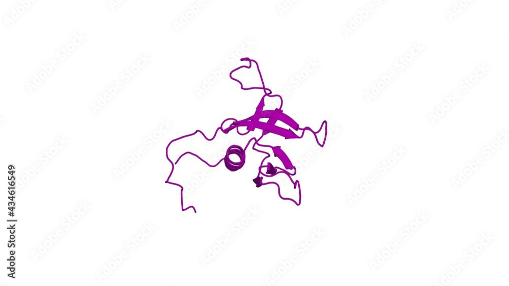 360º 3D rendering of a biological molecule. Solution Structure of the N-terminal Pleckstrin Homology Domain Of TAPP2 from Mouse 360º 3D rendering of a biological molecule. Solution Structure of the N-terminal Pleckstrin Homology Domain Of TAPP2 from Mouse