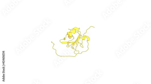 360º 3D rendering of a biological molecule. Solution structure of RRM domain in Heterogeneous nuclear ribonucleaoproteins A2/B1
