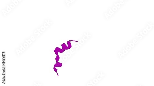 360º 3D rendering of a biological molecule. Impact of single-residue mutations on the structure and function of ovispirin/novispirin antimicrobial peptides.